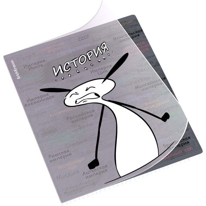 Тетрадь предметная ИСТОРИЯ, 48 листов в клетку, ErichKrause Тетрадь предметная ИСТОРИЯ, 48 листов в клетку, ErichKrause "Чубрик", пластиковая обложка, шелкография, блок офсет 100% белизна, инфо-блок