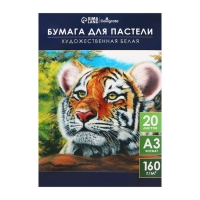 Бумага для пастели А3, 20 листов "Тигр", блок 160 г/м2, в папке Бумага для пастели А3, 20 листов "Тигр", блок 160 г/м2, в папке