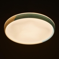 Светильник с ПДУ 670020N LED 72Вт 3 режима 3000-6000К диммер белый-синий 50х50х8 см Светильник с ПДУ 670020N LED 72Вт 3 режима 3000-6000К диммер белый-синий 50х50х8 см