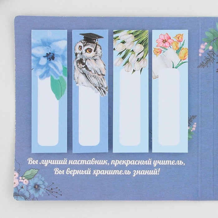 Набор в открытке &laquo;Учителю: Совы&raquo;, стикеры 4 х 20 листов, отрывной блок 30 листов