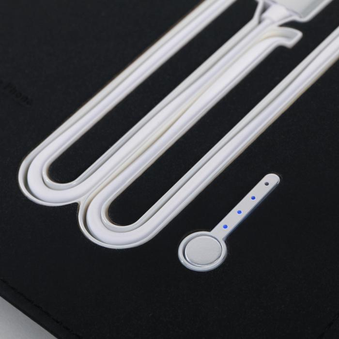 Ежедневник со встроенным зарядным устройством 8000 мАh и флешкой 16 ГБ &laquo;Лев&raquo;, 17,5 х 23,5 см