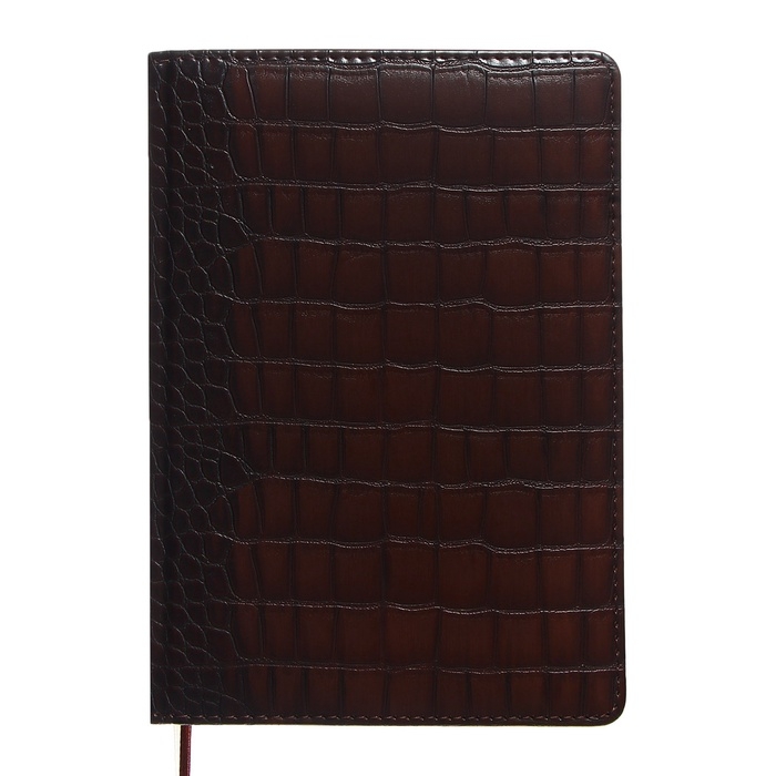 Ежедневник датированный 2024 A5 176 листов, deVENTE.Belcanto, твёрдая обложка из искусственной кожи с поролоном, ляссе, кремовый блок 70 г/м2, коричневый