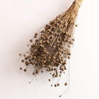 Набор сухоцветов "Лён-долгунец", банч длина 55-60 (+/- 6 см), бронза Набор сухоцветов "Лён-долгунец", банч длина 55-60 (+/- 6 см), бронза