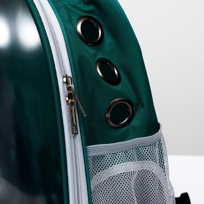 Рюкзак для переноски кошек и собак, прозрачный, 31 х 28 х 42 см, зелёный Рюкзак для переноски кошек и собак, прозрачный, 31 х 28 х 42 см, зелёный