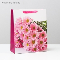 Пакет ламинированный, 26 x 32 x 12 см Пакет ламинированный, 26 x 32 x 12 см