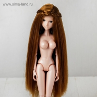 Волосы для кукол «Прямые с косичками» размер маленький, цвет 16А Волосы для кукол «Прямые с косичками» размер маленький, цвет 16А