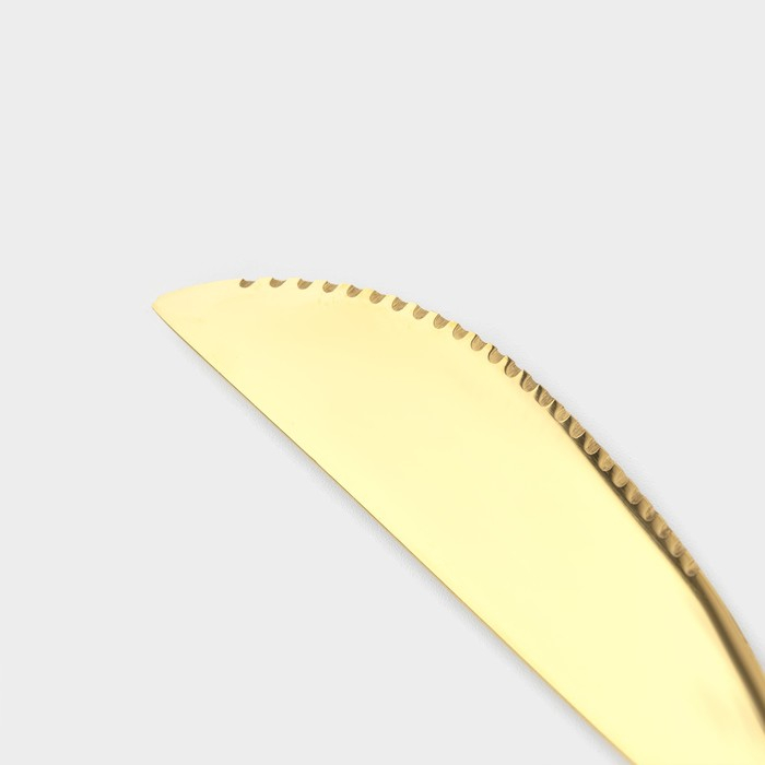 Столовые приборы из нержавеющей стали &laquo;Оску&raquo;, 24 предмета, в коробке, цвет золотой