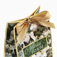 Пакет подарочный новогодний с лентой &laquo;Зима&raquo;, 13 х 19 х 9 см