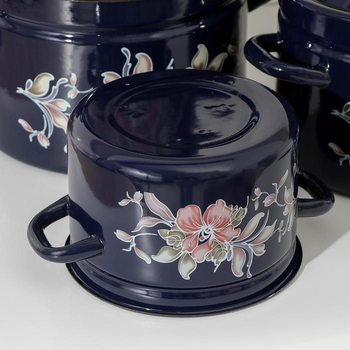 Набор кастрюль &laquo;Алиса&raquo;, 4 предмета: 2 л, 3 л, 6 л, 8 л, эмалированные крышки, индукция