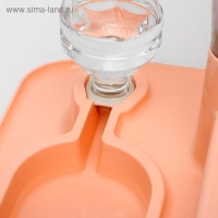 Комплекс: контейнер для корма 38х22х34 см (1,5 кг), съемная миска и поилка, персиковый