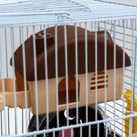 Клетка для грызунов "Пижон", укомплектованная, 27 х 21 х 26 см, коричневая Клетка для грызунов "Пижон", укомплектованная, 27 х 21 х 26 см, коричневая