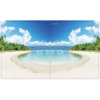 Тетрадь 96 листов в клетку Calligrata "Прекрасная пора", обложка мелованный картон, блок офсет, МИКС Тетрадь 96 листов в клетку Calligrata "Прекрасная пора", обложка мелованный картон, блок офсет, МИКС