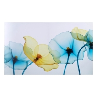 Картина на холсте "Прозрачность" 60*100 см Картина на холсте "Прозрачность" 60*100 см