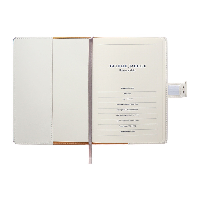 Органайзер на кольцах, А5, 128л, клетка, обл.кожзам, с хлястиком, Бизнес, голубой Органайзер на кольцах, А5, 128л, клетка, обл.кожзам, с хлястиком, Бизнес, голубой