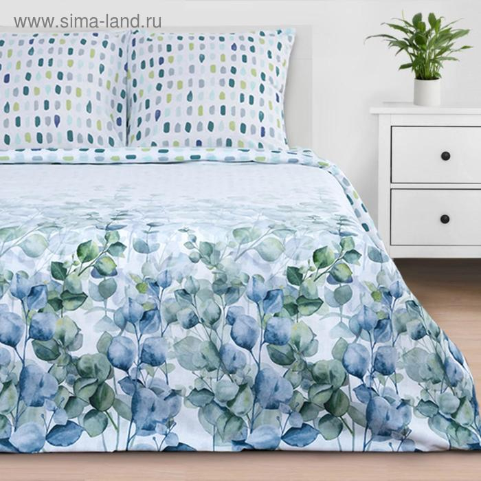 Постельное бельё &laquo;Этель&raquo; Евро Eucalyptus 200х217 см, 240х220 см, 70х70 см - 2 шт