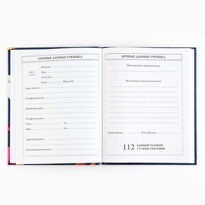 Дневник школьный 5-11 класс, в твердой обложке, 48 л. &laquo;Школьные принадлежности&raquo;