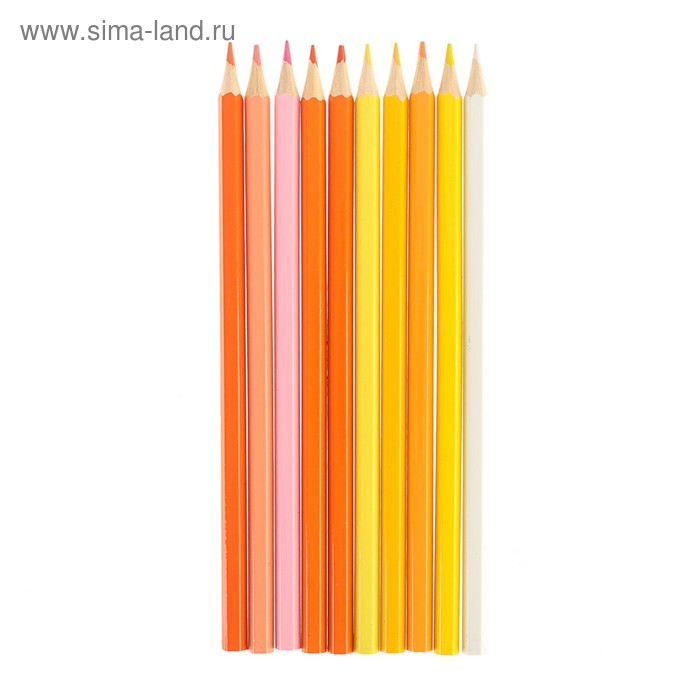 Карандаши 50 цветов, в металлическом пенале, корпус шестигранный, заточенные