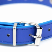 Ошейник "Лион" с шипами 45 х 2 см, ОШ 34-40 см, искусственная кожа, синий Ошейник "Лион" с шипами 45 х 2 см, ОШ 34-40 см, искусственная кожа, синий