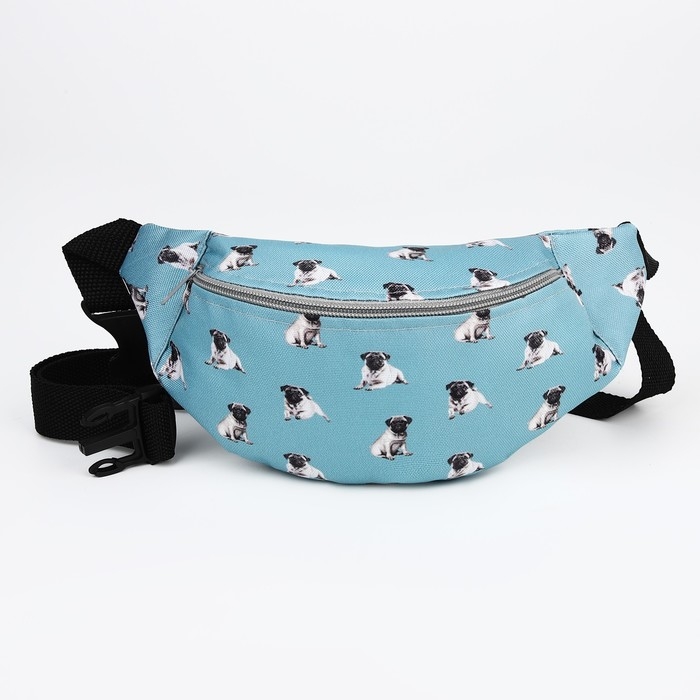 Поясная сумка на молнии, цвет голубой Поясная сумка на молнии, цвет голубой