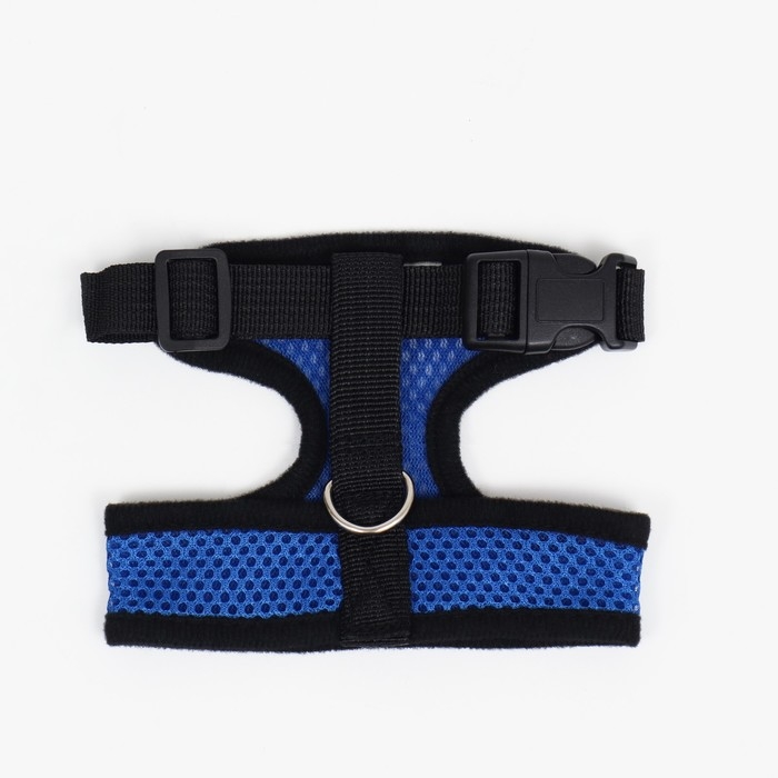 Шлейка мягкая из неопрена, размер XL, ОШ 42 см, ОГ 38-50 см, синяя Шлейка мягкая из неопрена, размер XL, ОШ 42 см, ОГ 38-50 см, синяя