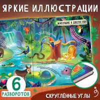 Книга с окошками &laquo;Мир животных&raquo;, 50 окошек