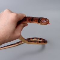 Деревянная игрушка &laquo;Змея&raquo;, 100 &times; 2 &times; 2 см