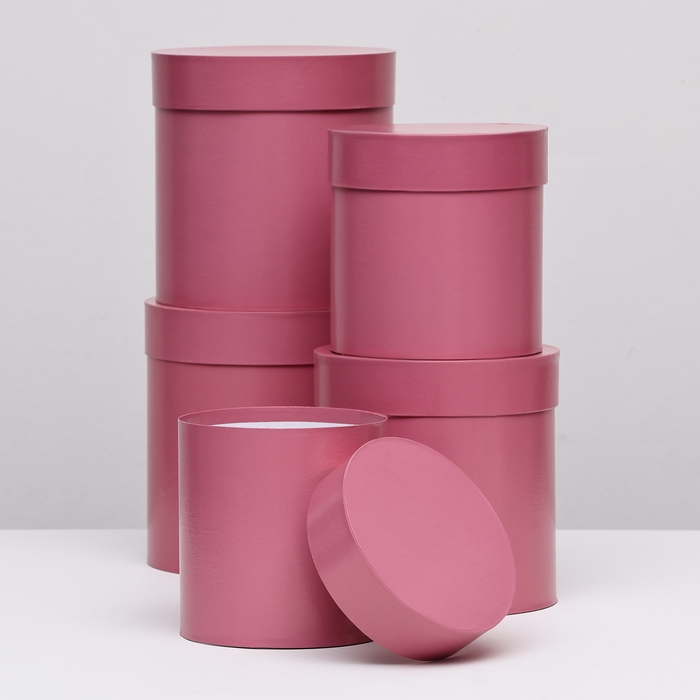 Набор круглых коробок 5в1 Набор круглых коробок 5в1 "Фуксия перламутровая", 20 × 20 ‒15 × 15 см