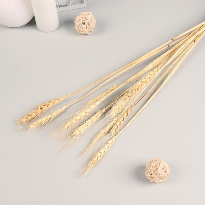 Декор сухоцвет Декор сухоцвет "Рожь" (набор 10 шт) 60 см, бежевый