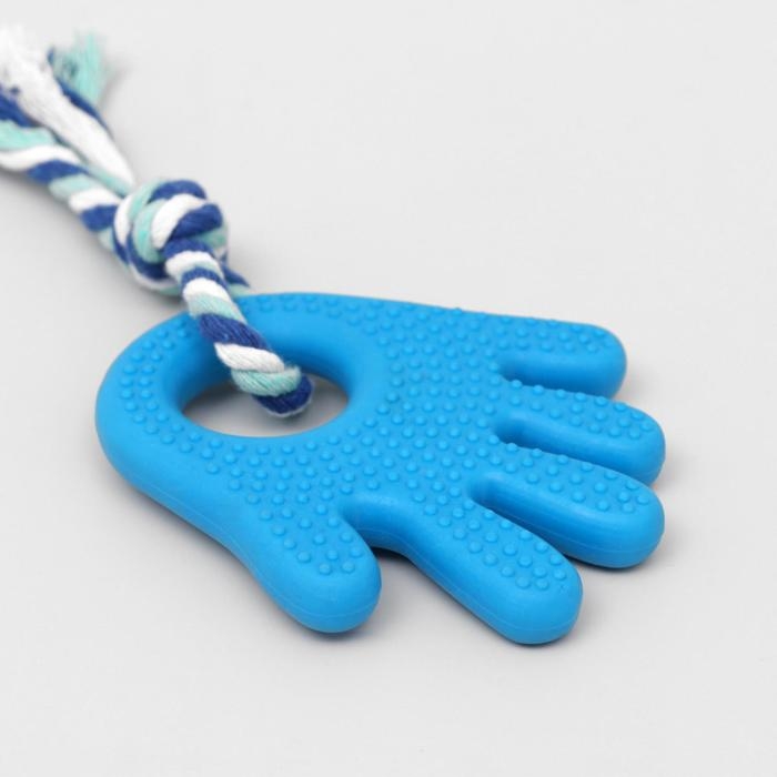 Игрушка жевательная с канатом для собак Игрушка жевательная с канатом для собак "Ладошка", 10 см, голубая