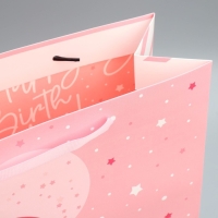 Набор пакетов подарочных ламинированных, двухсторонние, упаковка, &laquo;С Днем Рождения&raquo; 18 х 23 х 10 см ‒ 40 х 31 х 11.5 см