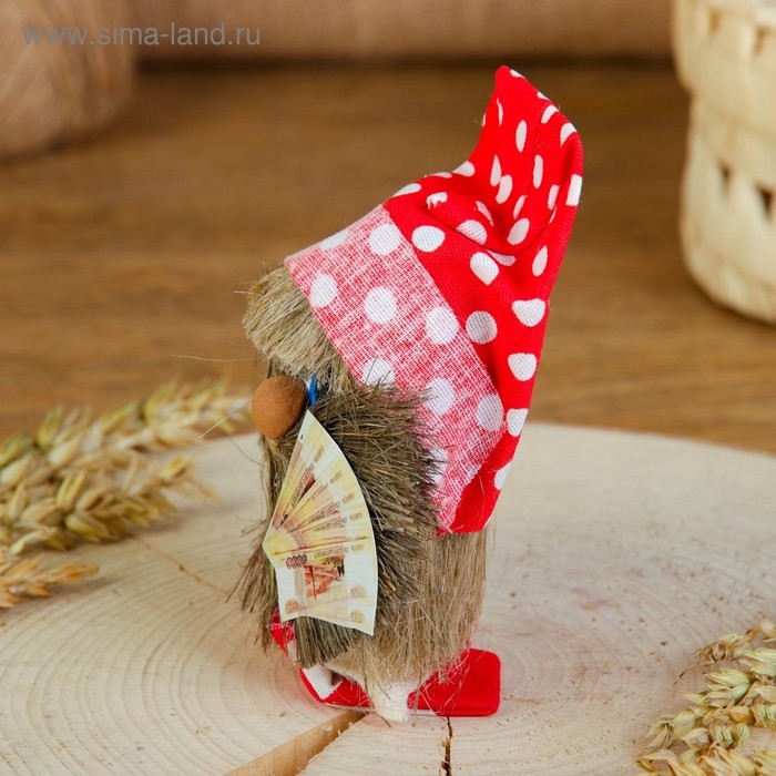 Оберег &laquo;Домовой&raquo;, с рублями, 10 см, микс