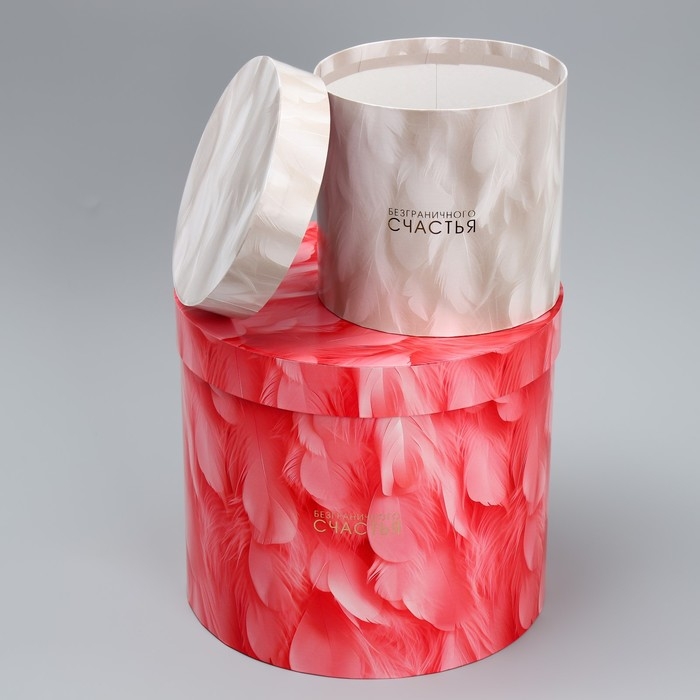 Набор шляпных коробок 5 в 1, упаковка подарочная, «Перья», 13 х 14 ‒ 19.5 х 22 см Набор шляпных коробок 5 в 1, упаковка подарочная, «Перья», 13 х 14 ‒ 19.5 х 22 см