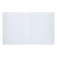 Комплект тетрадей из 10 штук, 12 листов в косую линию Calligrata "Пятёрка", обложка мелованный картон, ВД-лак, блок офсет, 5 видов по 2 штуки Комплект тетрадей из 10 штук, 12 листов в косую линию Calligrata "Пятёрка", обложка мелованный картон, ВД-лак, блок офсет, 5 видов по 2 штуки