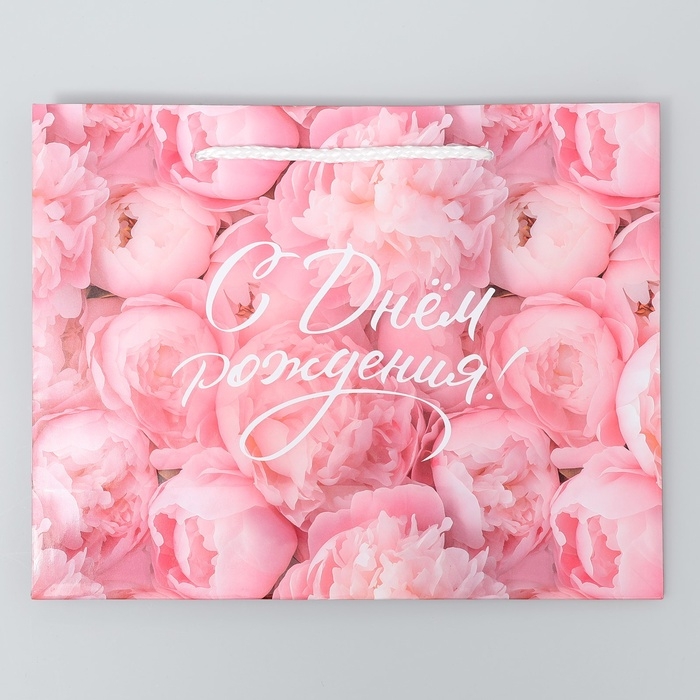 Пакет подарочный ламинированный, упаковка, &laquo;С Днём рождения!&raquo;, MS 23 х 18 х 8 см