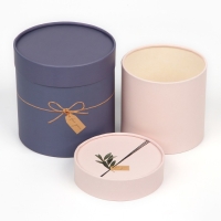 Набор круглых коробок 10 в 1, упаковка подарочная, &laquo;Эко&raquo;, 10 х 10 - 23,5 х 23,5 см