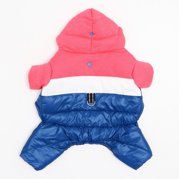 Комбинезон Комбинезон "Эльф", размер 14 (ДС 32 см, ОГ 42 см, ОШ 31 см), розово-синий