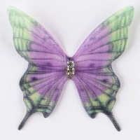 Декор для творчества &laquo;Бабочка хохлатка&raquo;, двухслойный, набор 12 шт., размер 1 шт. &mdash; 5 &times; 5 см