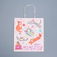 Пакет подарочный крафтовый, упаковка, «Вечеринка», 22 х 25 х 12 см Пакет подарочный крафтовый, упаковка, «Вечеринка», 22 х 25 х 12 см