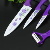 Набор кухонных принадлежностей Доляна, 4 предмета: 3 ножа с антиналипающим покрытием, лезвие 8,5 см, 12 см, 20 см, овощечистка, цвет фиолетовый Набор кухонных принадлежностей Доляна, 4 предмета: 3 ножа с антиналипающим покрытием, лезвие 8,5 см, 12 см, 20 см, овощечистка, цвет фиолетовый