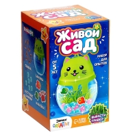 Набор для опытов «Живой сад: Кошечка», цвета МИКС Набор для опытов «Живой сад: Кошечка», цвета МИКС