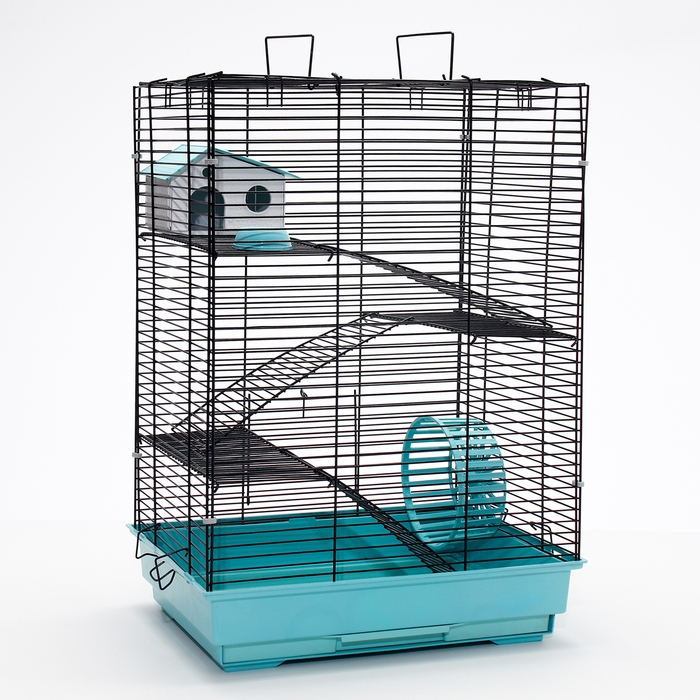 Клетка для грызунов Клетка для грызунов "Пижон" №5, с 3 этажами, укомплектованная, 41 х 30 х 58 см, бирюзовая