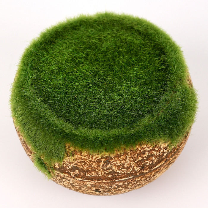 Основа для декора &laquo;Горшок круглый для цветов&raquo;, 7 &times; 8 &times; 8 см