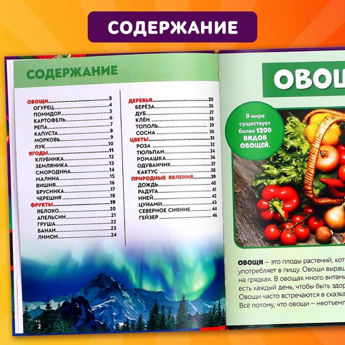 Фотоэнциклопедия для детей &laquo;Мир вокруг нас&raquo;, 48 стр.