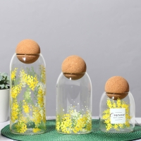 Банка для хранения сыпучих продуктов и круп &laquo;Счастье быть дома. Нежная мимоза&raquo;, 500 мл