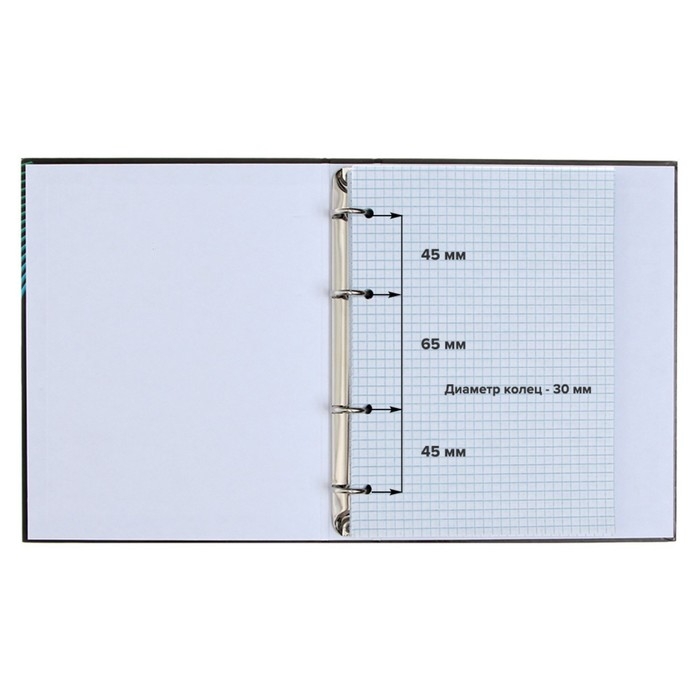 Тетрадь на кольцах A5 120 листов в клетку Calligrata "АнимеArt", пластиковая обложка, блок офсет