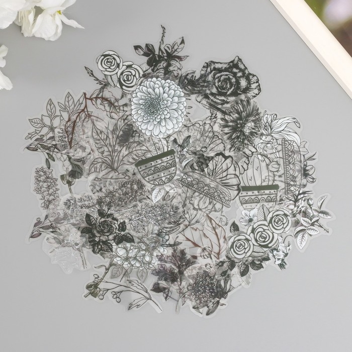 Наклейки для творчества пластик PVC "Эскизы растений" набор 60 шт 10х14 см