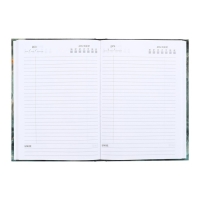 Ежедневник недатированный А5, 160 листов, Calligrata, "МРАМОР ЗЕЛЕНЫЙ" глянцевая ламинация