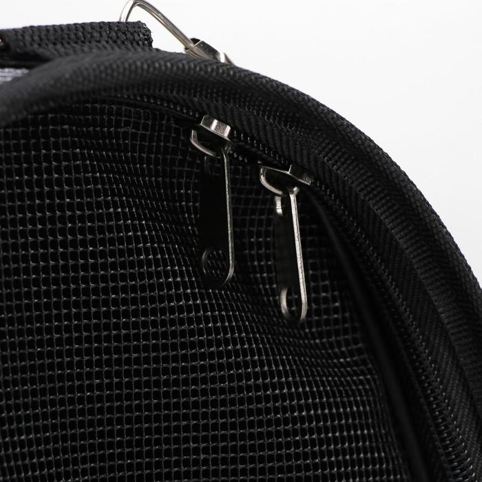 Сумка - переноска для животных Сумка - переноска для животных "Зимние коты", размер M, 40 х 21 х 27 см