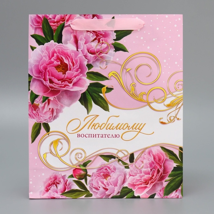 Пакет подарочный ламинированный, упаковка, &laquo;Воспитателю&raquo;, ML 21 х 25 х 8 см