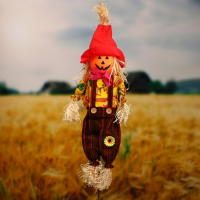 Огородное пугало &laquo;Тыква&raquo;, h = 100 см, МИКС. Greengo